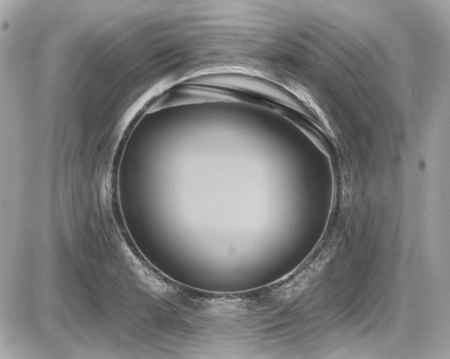 X0000087701181200705041055
