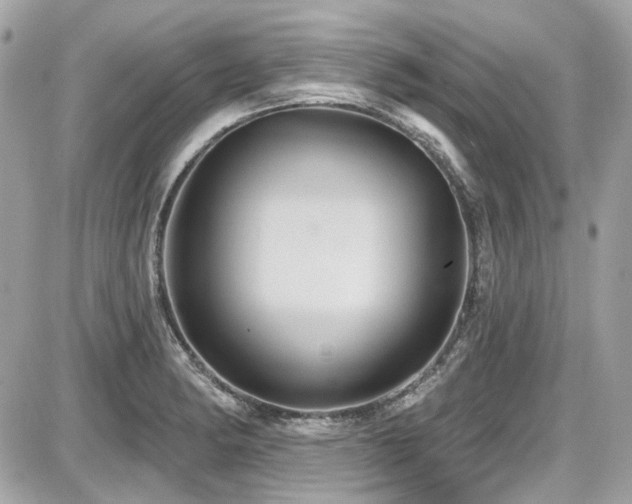 X0000087701182200705041055