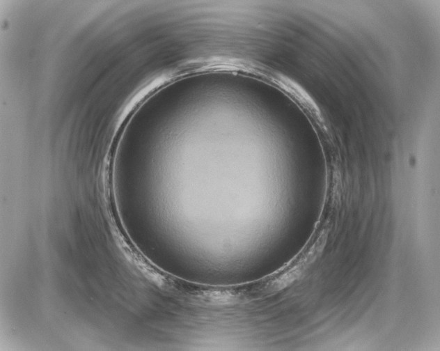 X0000087701190200705041055