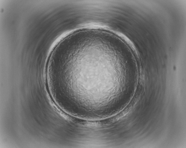 X0000087701191200705041055