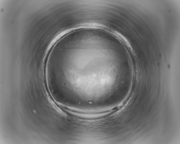 X0000087701192200705041055