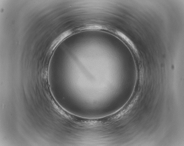 X0000087701193200705041055