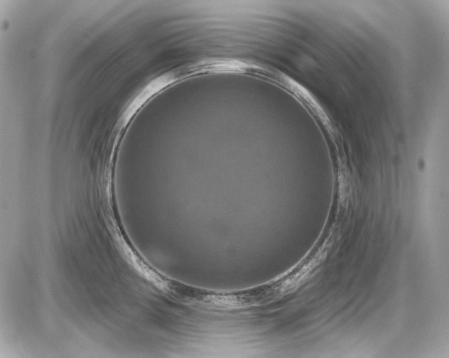 X0000087701194200705041055