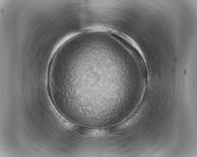 X0000087701195200705041055