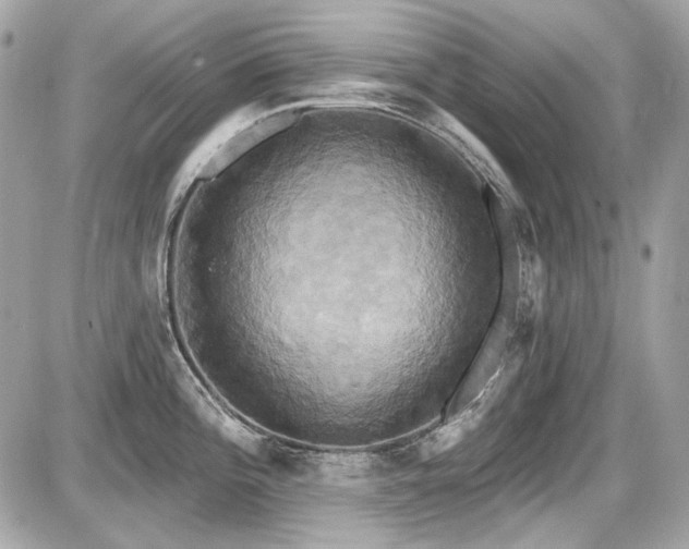 X0000087701196200705041055