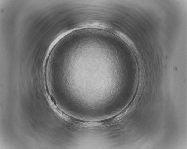 X0000087701200200705041055