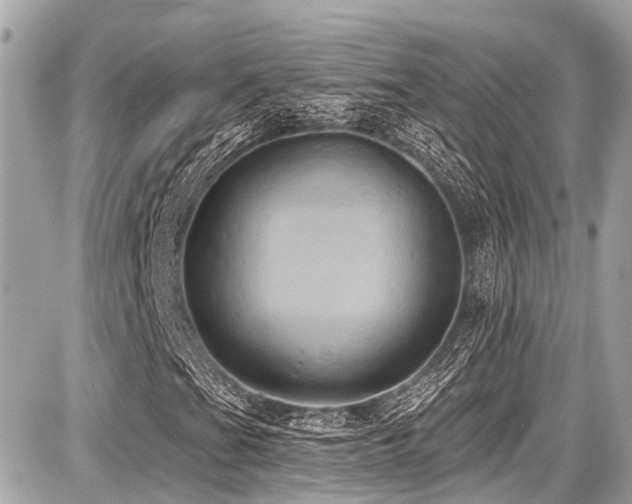 X0000087701201200705041054