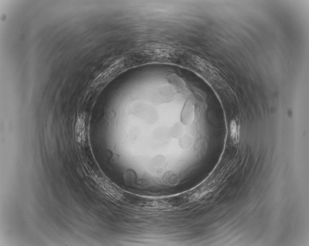 X0000087701203200705041054