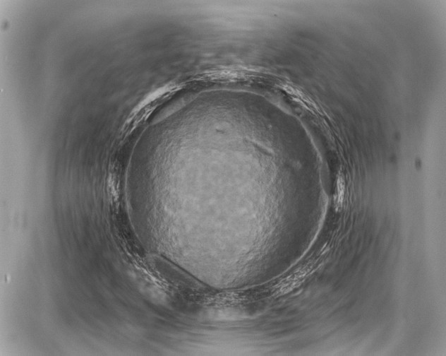 X0000087701206200705041054