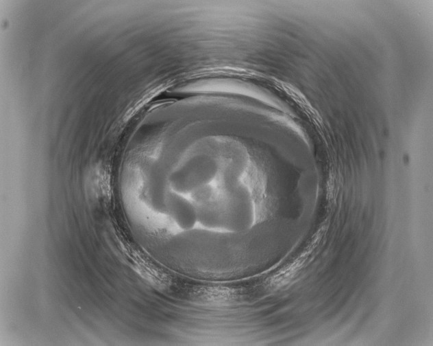 X0000087701209200705041054