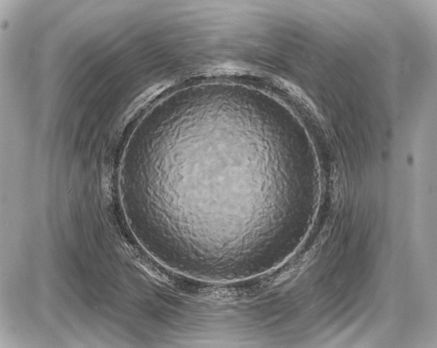 X0000087701217200705041054