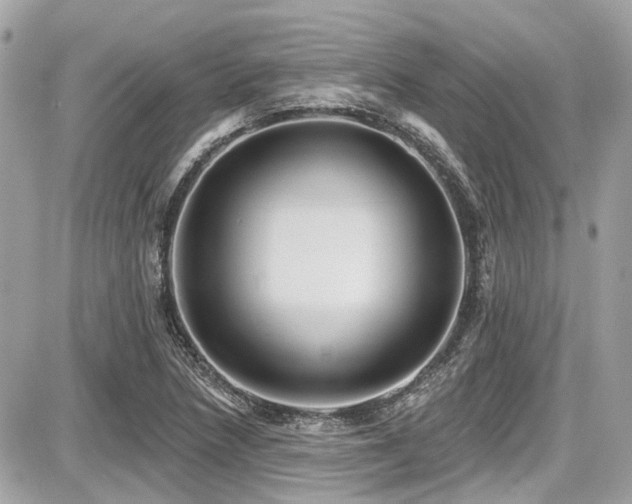 X0000087701218200705041054