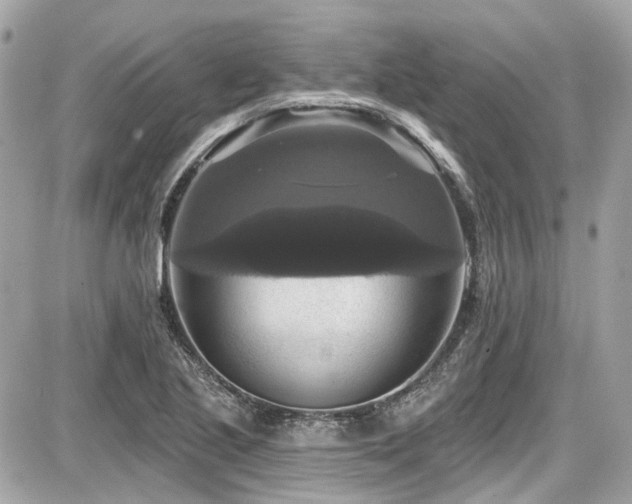 X0000087701221200705041054