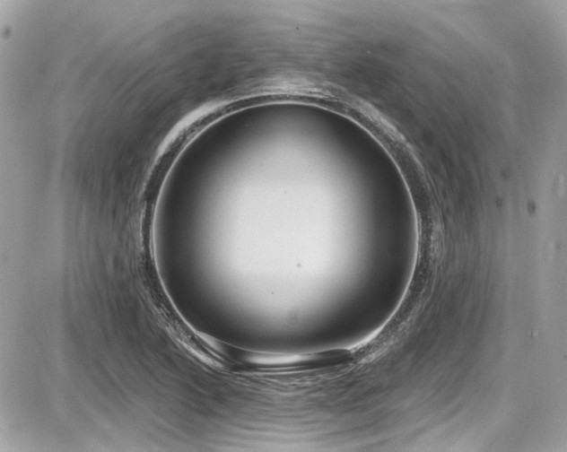 X0000087701222200705041054