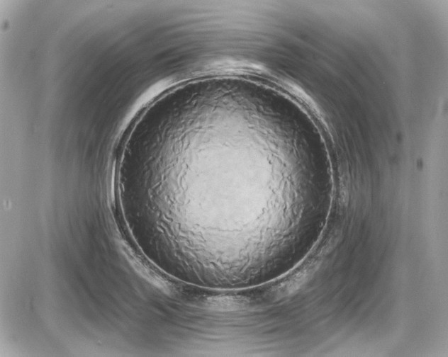 X0000087701227200705041055