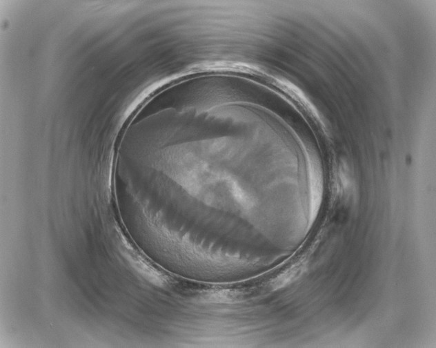 X0000087701228200705041055