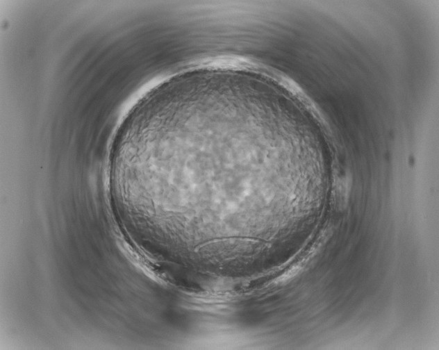X0000087701232200705041055