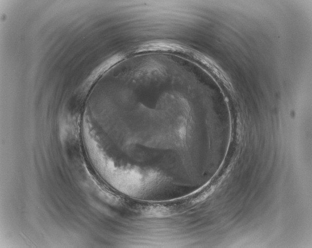 X0000087701233200705041055