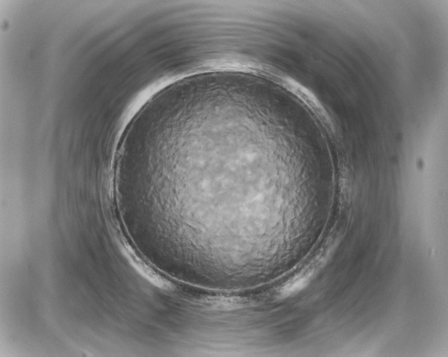 X0000087701236200705041055