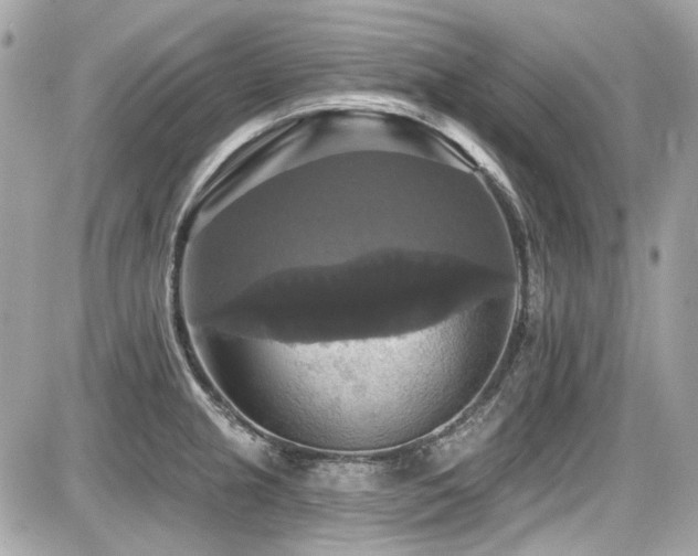 X0000087701237200705041055