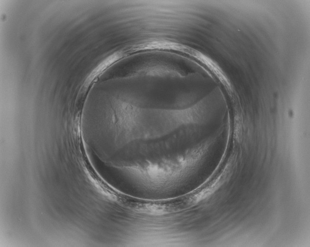 X0000087701241200705041055