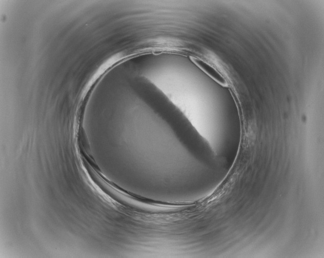 X0000087701243200705041055