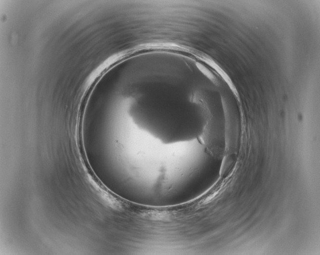 X0000087701245200705041055