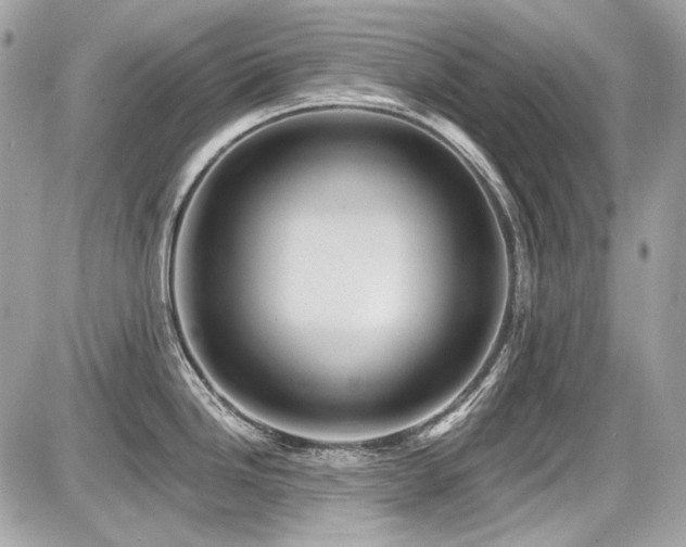 X0000087701246200705041055