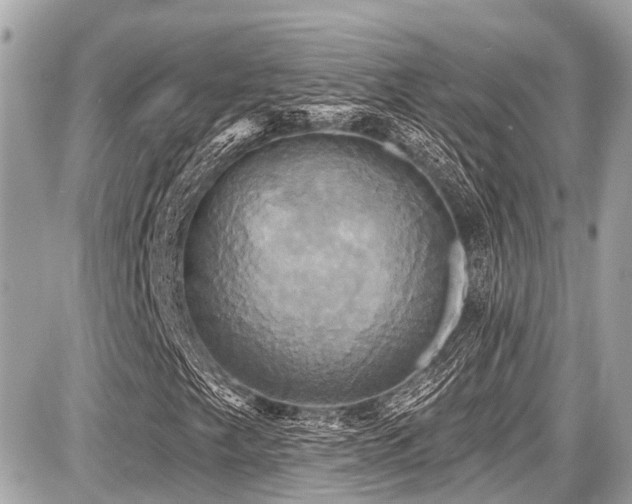 X0000087701249200705041054