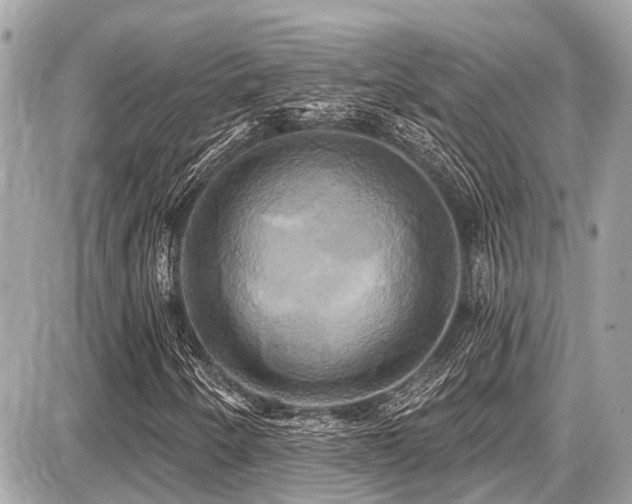 X0000087701250200705041054