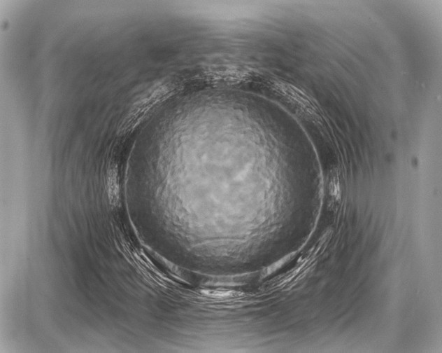 X0000087701252200705041054