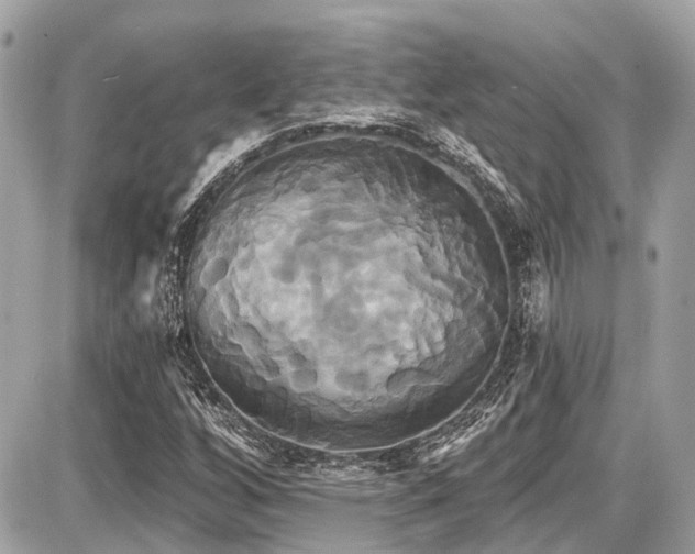 X0000087701256200705041054
