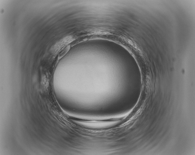 X0000087701257200705041054