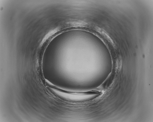 X0000087701261200705041054