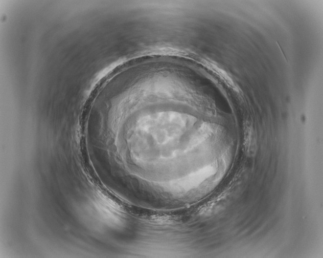 X0000087701264200705041054