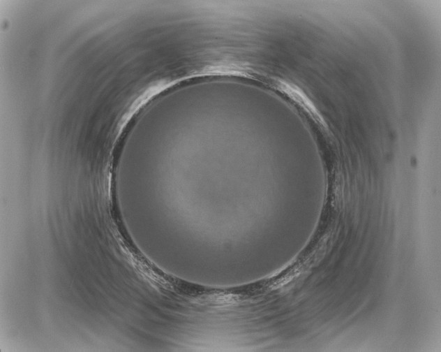 X0000087701268200705041054