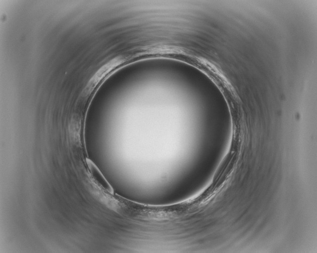 X0000087701273200705041054