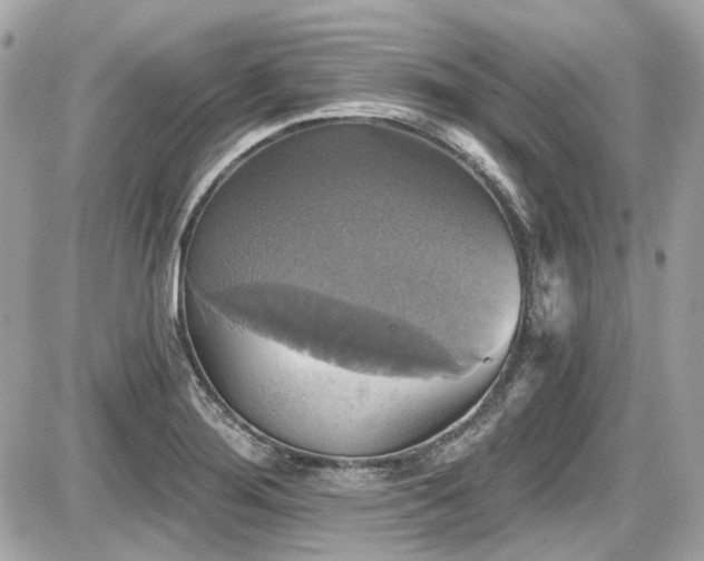 X0000087701276200705041054