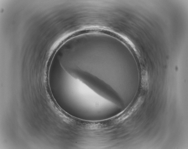 X0000087701279200705041054