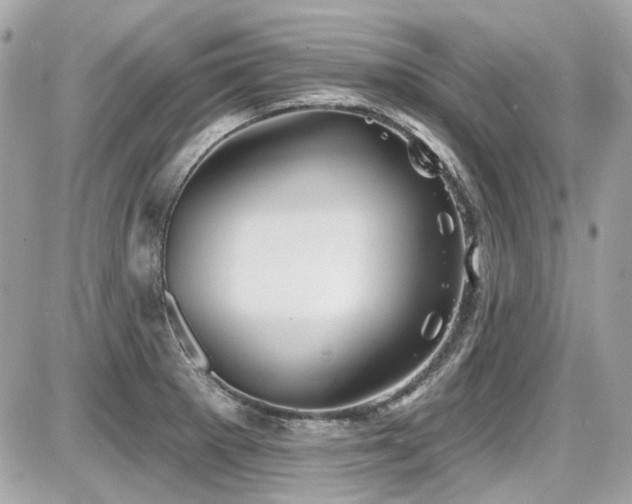 X0000087701281200705041054