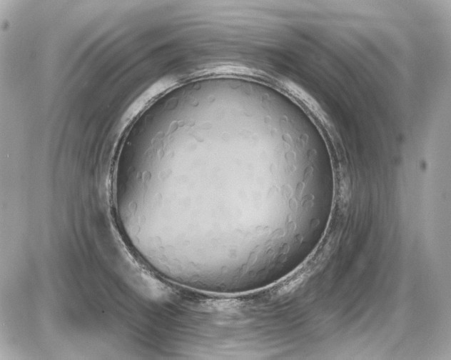 X0000087701282200705041054