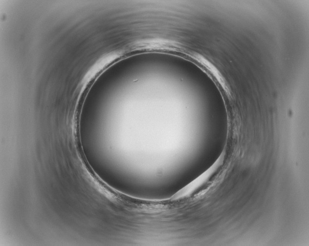 X0000087701285200705041054