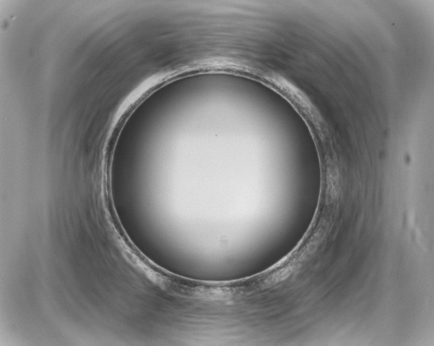 X0000087701286200705041053