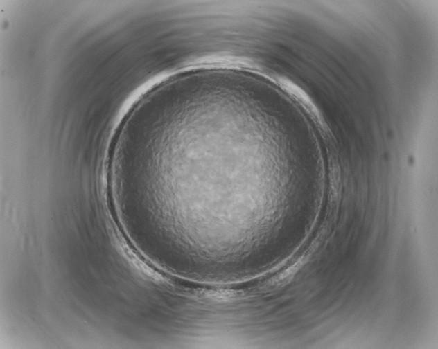 X0000087701288200705041053