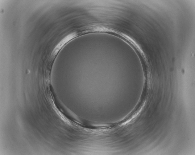 X0000087701289200705041053