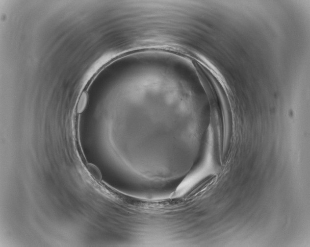 X0000087701291200705041053