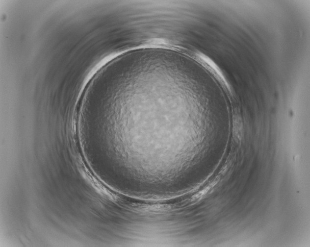 X0000087701292200705041053