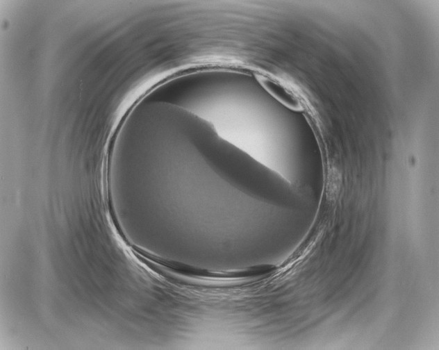 X0000087701295200705041053