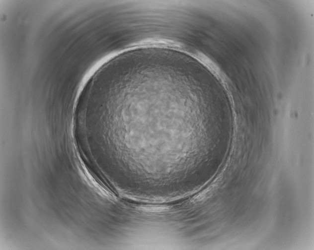 X0000087701296200705041053