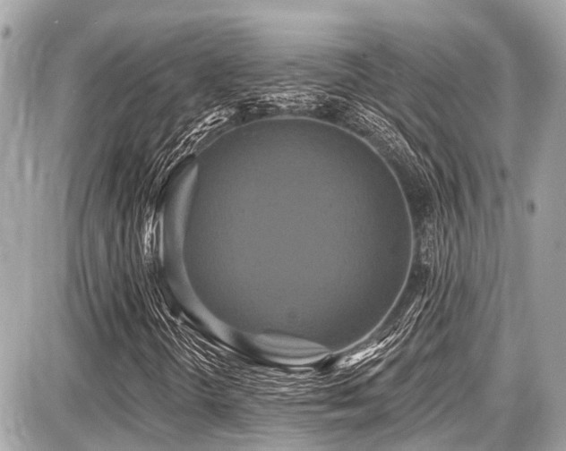 X0000087701298200705041053